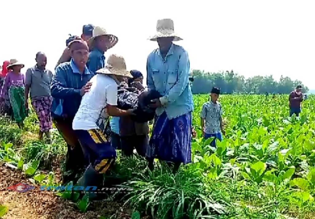 Petani Pamit Menyiram Tembakau, Ditemukan Meninggal di Penampungan&nbsp;Air